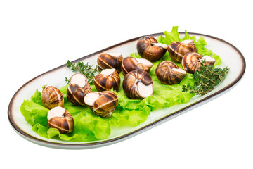 Escargot