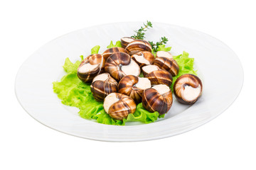 Escargot
