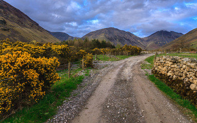 Countryside road with beautiful landscape