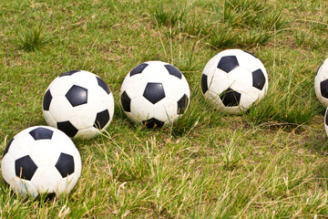 Fototapeta premium soccer ball on green grass
