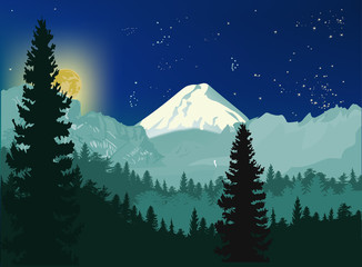 moon night in mountains forest