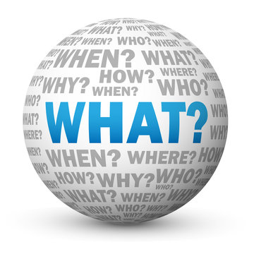 "WHAT?" Globe (questions explanations help support why how)