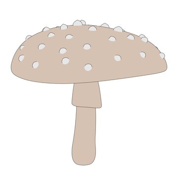 cartoon image of poisonous mushroom