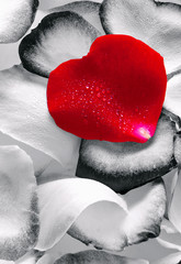 Valentin `s Day card with heart. 