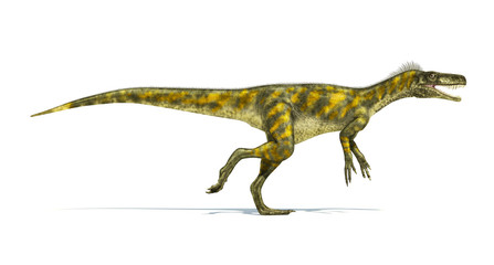 Herrerasaurus dinosaur, photorealistic representation. Side view