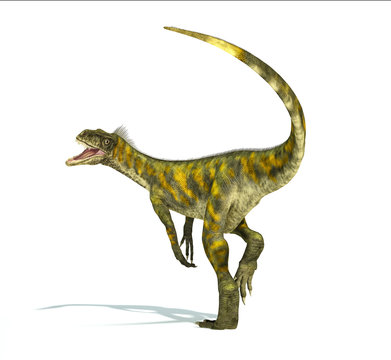 Herrerasaurus dinosaur, photorealistic representation. Dynamic v