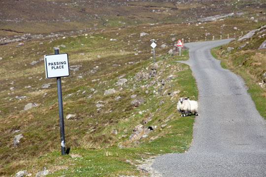 Single track road with a passing place sign