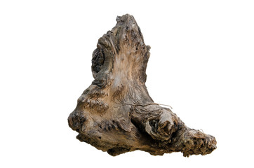 Driftwood tree stump