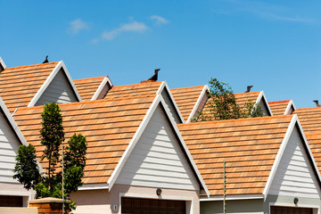 Condomimium house rooftops.