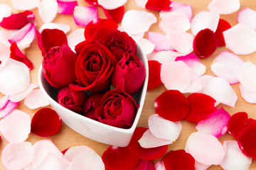 Beautiful Red rose inside heart shape bowl with petal beside