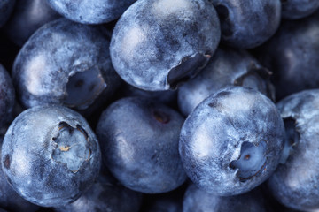 fresh blueberries macro