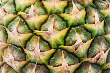 Fototapeta premium Pineapple