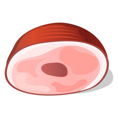 meat, vector illustration