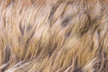 Brown artificial fur for background