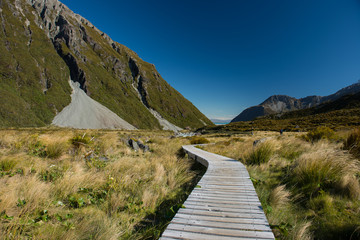 Fototapeta na wymiar Krajobraz Nowej Zelandii