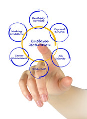 Diagram of employee motivation