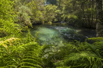 Schilderijen op glas View of the stream near Te Waikoropupu Springs at New Zealand © mohdnadlyaizat