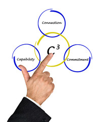 C3 diagram