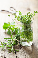 fresh thyme and rosemary herbs in glass