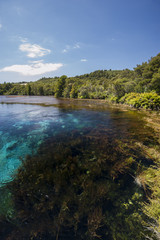 View of Te Waikoropupu Springs at New Zealand's South Island.
