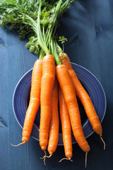 fresh carrot over blue background