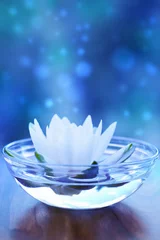 Crédence de cuisine en verre imprimé Nénuphars fleur de nénuphar blanc sur bleu