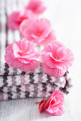 Obraz na płótnie Canvas różowe kwiaty i ręcznik do spa