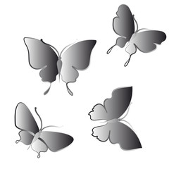 butterflies design