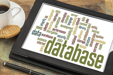 database word cloud