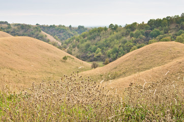Valley between small hills covered with yellow grass