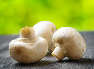Fresh champignons on black wooden board.