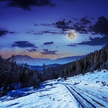 snowy road to coniferous forest in mountains at night