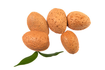 Almond nut