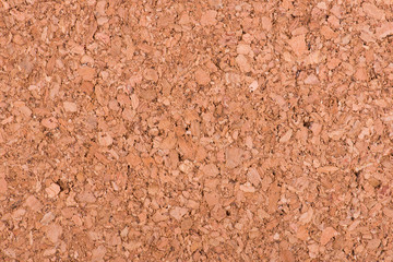 Natural pith a texture a background