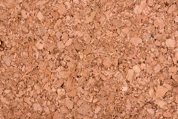 Natural pith a texture a background