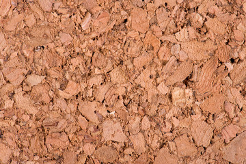 Natural pith a texture a background