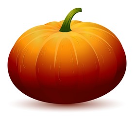 Realistic Pumpkin