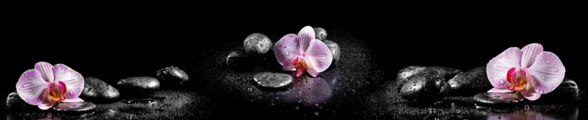 Foto auf Acrylglas Orchidee Horizontales Panorama mit rosa Orchideen und Zen-Steinen auf schwarzem Ba