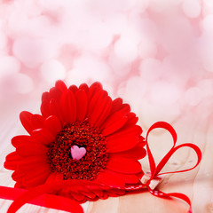 Alles Liebe! Rote Gerbera und Herzen