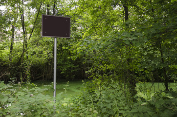 Contaminated water in the forest (dirty water).
