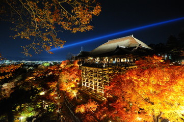Famous Kiyumizu dera temple illuminated at night (Kyoto, Japan)