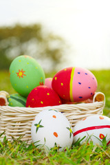 Colored eggs on field b