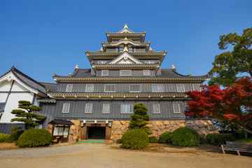Obraz premium Okayama Castle in Japan