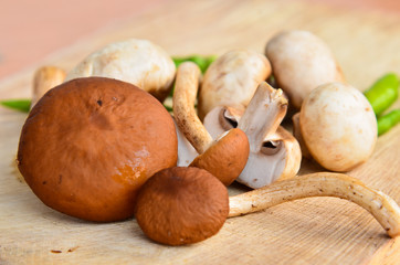 Fresh brown mushrooms