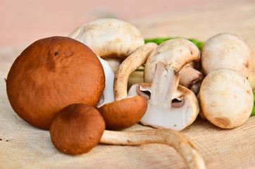 Fresh brown mushrooms
