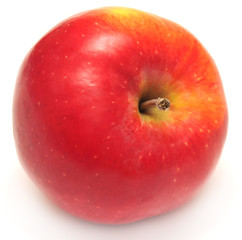 Red apple