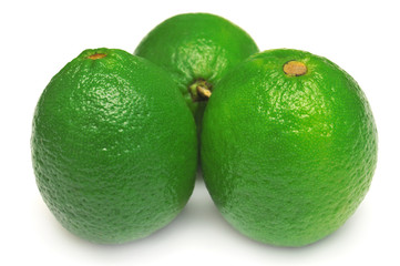 Lime