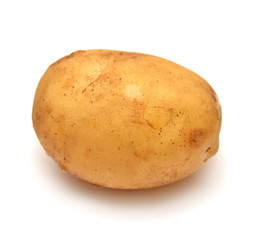 Potato