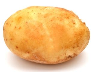 Potato