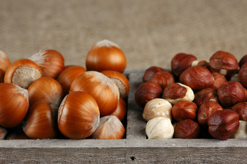 Hazelnuts in wooden box